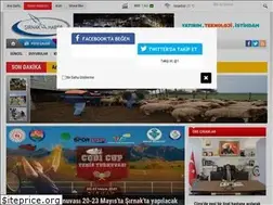 Sites similar to sirnakhaber73.com