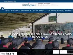 Sites similar to sistemapenitenciario.gob.pa