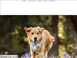 Sites similar to sitstaypetphotography.com