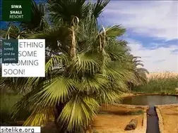Sites similar to siwashaliresort.com