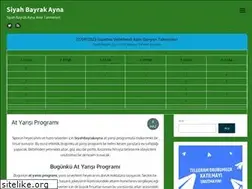 Sites similar to siyahbayrakaynaamir.com
