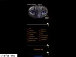 Sites similar to siyamkedi.com