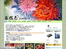 Sites similar to sizeniro.com