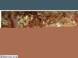 Sites similar to sjcollinsent.com