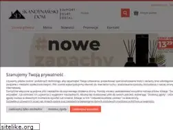 Sites similar to skandynawskidom.com