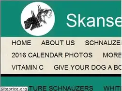 Sites similar to skansen.com