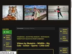 Sites similar to skatetrix.ch