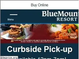 Sites similar to skibluemt.com