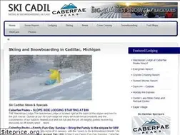 Sites similar to skicadillac.com