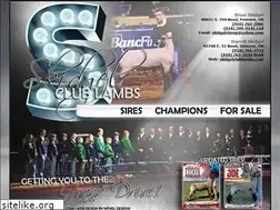 Sites similar to skidgelclublambs.com