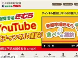 Sites similar to skimura.jp