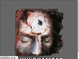 Sites similar to skinchamber.com