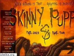 Sites similar to skinnypuppy.com