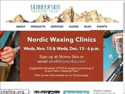 Sites similar to skinnyskis.com