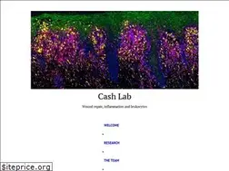 Sites similar to skinrepairlab.com