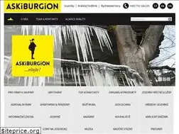 Sites similar to skion.cz