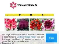 Sites similar to sklep.cebulekwiatowe.pl