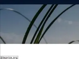 Sites similar to sklepavatar.pl
