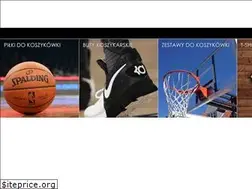 Sites similar to sklepkoszykarski.pl