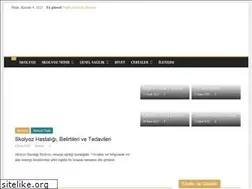 Sites similar to skolyoz.net