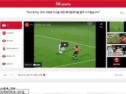 Sites similar to sksports.net