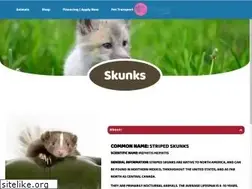 Sites similar to skunksforsale.com