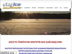 Sites similar to skyice.org