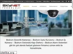 Sites similar to skynetteknoloji.com