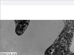 Sites similar to slabs.moscow