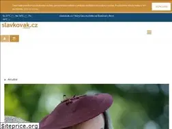 Sites similar to slavkovak.cz