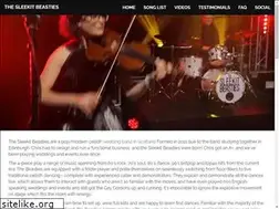 Sites similar to sleekitbeastiesceilidhband.co.uk