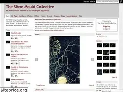 Sites similar to slimoco.ning.com
