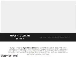 Sites similar to sliney.com