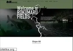Sites similar to slope60.com
