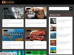 Sites similar to slumguy.info