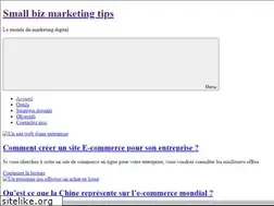 Sites similar to small-biz-marketing-tips.com