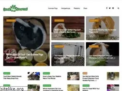 Sites similar to smallpetjournal.com