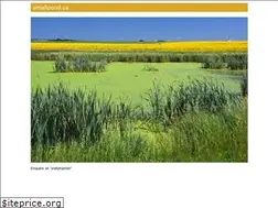 Sites similar to smallpond.ca