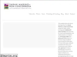 Sites similar to smallscenes.com