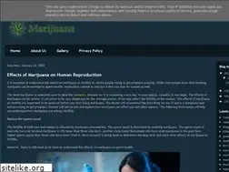 Sites similar to smarijuana.blogspot.com