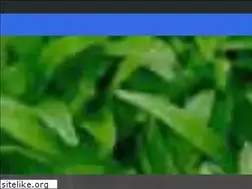 Sites similar to smartdogdallas.com