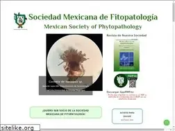 Sites similar to smf.org.mx