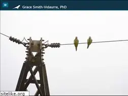 Sites similar to smith-vidaurre.com