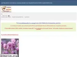 Sites similar to smochini.com