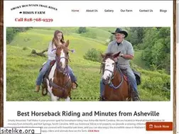 Sites similar to smokymountaintrailrides.com