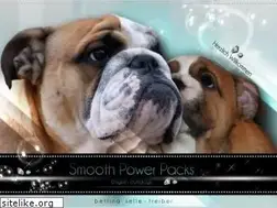 Sites similar to smoothpowerpack.de