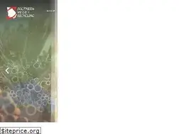 Sites similar to smrusa.com