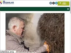 Sites similar to smsersanlar.com