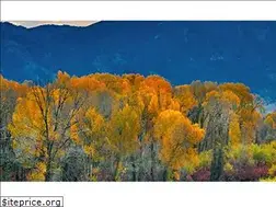 Sites similar to snakerivermls.com