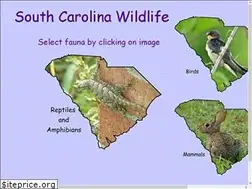 Sites similar to snakesandfrogs.com